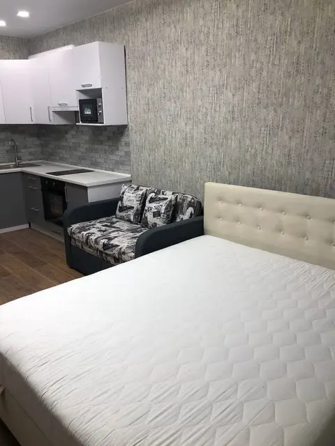 Студия, 26 м², 10/16 эт., студия на пр. Ленина 195А без залога