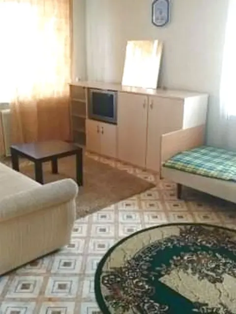 1-к кв Эм.Алексеевой 48, 2/5 эт, 31 кв м